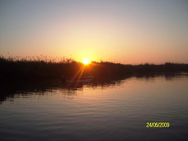 delta rosu 2009 - sany6798.JPG